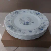 پیش دستی،کاسه آبگوشت خوری، دیس، پیاله پارس اوپال