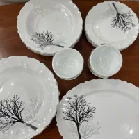 مدل ارکوپال نو|ظروف سرو و پذیرایی|تهران, آبشار|دیوار