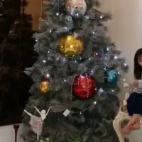 درخت کریسمس برفی|گل مصنوعی|کرج, گلشهر|دیوار