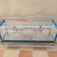 قفس بلدرچین