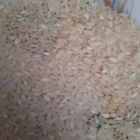 برنج بکیان کامفیروز|خوردنی و آشامیدنی|مرودشت, ثبت احوال|دیوار