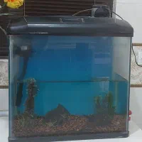 آکواریوم با تمام وسایل.سالم