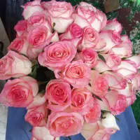 گل رز و نرگس هلندی درجه یک