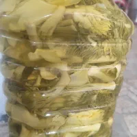 فروش ترشی کما کال