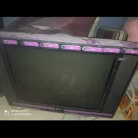 تلویزیون