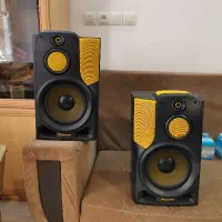 بلندگو مانیتورینگ پایونیر