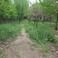 باغ دور دیوار شاندیز