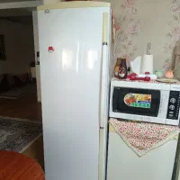 فریزر الکترو استیل