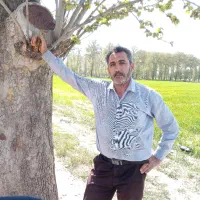 کارگر کارگاه