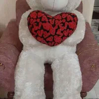 خرس بزرگ نو