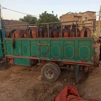 فروش ۱۰راس قاطر به صورت تکی عمده