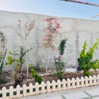 باغچهبا-بنای-سه-ساله