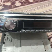 ظبط