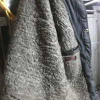 کاپشن تروتمیز درحدنو|لباس|شیراز, قدوسی شرقی|دیوار