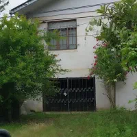 ویلای-جنگلی