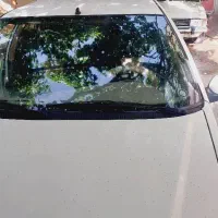 پارس ۹۱|خودرو سواری و وانت|کرمان, |دیوار