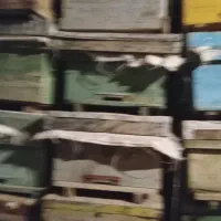 ۸۰کندو با قاب چوب نرادو۸۰ نیم طبق  با چوب جنگلی