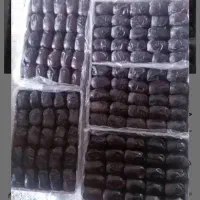 خرمای لوکس بلوچستان ـ سیب و سوران