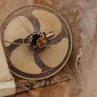 پنکه|پنکه و تصفیهکنندهٔ هوا|مشهد, کوشش|دیوار