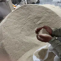 انواعی از برنج با خرید از تولید کننده