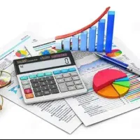 یک حسابدار خانم باتجربه و متعهد