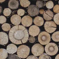 چوب شومینه ای بادام،،زردآلو