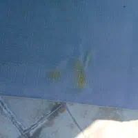 موکت 12متری|موکت|سبزوار, توحیدشهر|دیوار