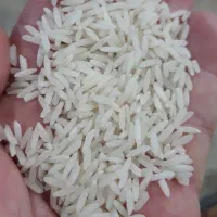 برنج هاشمی