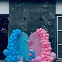 مراسم تعیین جنسیت صفرتا صد با مهمان و دو نفره کامل