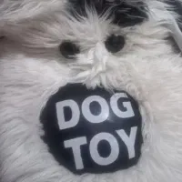 سگ پشمی|اسباب‌بازی بچه|شاهین‌شهر, اقبال لاهوری|دیوار