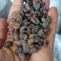 کشمش افتابی و خرما|عمده‌فروشی|اصفهان, پینارت|دیوار