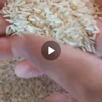 برنج هاشمی درجه یک با عطر بهشتی و پخت بی نظیر|خوردنی و آشامیدنی|کرج, اسلام‌آباد|دیوار
