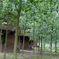 مکانی-برای-آرامش-در-دل-انبوهی-از-درختان-سبز