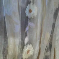 پرده زیبا ودرحدنو۲عدد|پرده، رانر، رومیزی|بندر انزلی, سید آسیه|دیوار