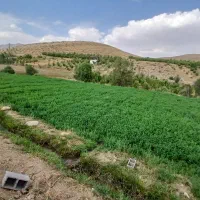 فروش کاه یونجه|لوازم جانبی حیوانات|سمیرم, |دیوار