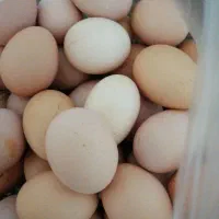 تخم مرغ خانگی