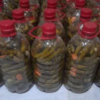 خیارشور همدان نمکی ریز و ترد