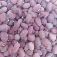 لوبیا کیلو ۲۰۰،۰۰۰