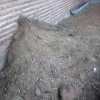 کود حیوانی|لوازم جانبی حیوانات|بناب, |دیوار