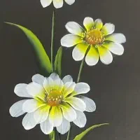 اجاره روزانه/هفتگی/ماهانه سوییت ۶۰ متری