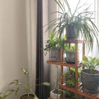استند گل چوبی با گلدانها و گیاهان طبیعی