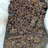 ممیز و کشمش آفتابی کندو|عمده‌فروشی|سبزوار, هفت تیر|دیوار
