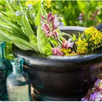 نتورک مارکتینگ جذب بازاریابان محصولات سلامت محور|استخدام بازاریابی و فروش|تهران, سهروردی|دیوار
