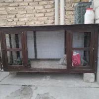 جفت کنی یا گنجه