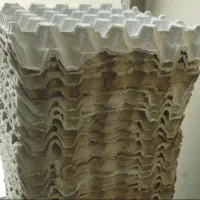 شانه تخم مرغ