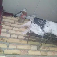 تخفیف پای معامله