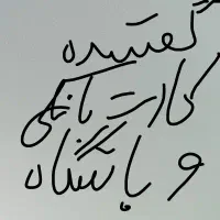 کارت بانک و باشگاه و استخر داخل جا کارتی قهوه ای