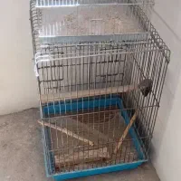قفس کاسکوقناری وسعره