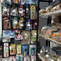 پت شاپ پاپت|لوازم جانبی حیوانات|مشهد, نیروی هوایی|دیوار