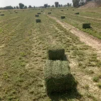 پرس یونجه